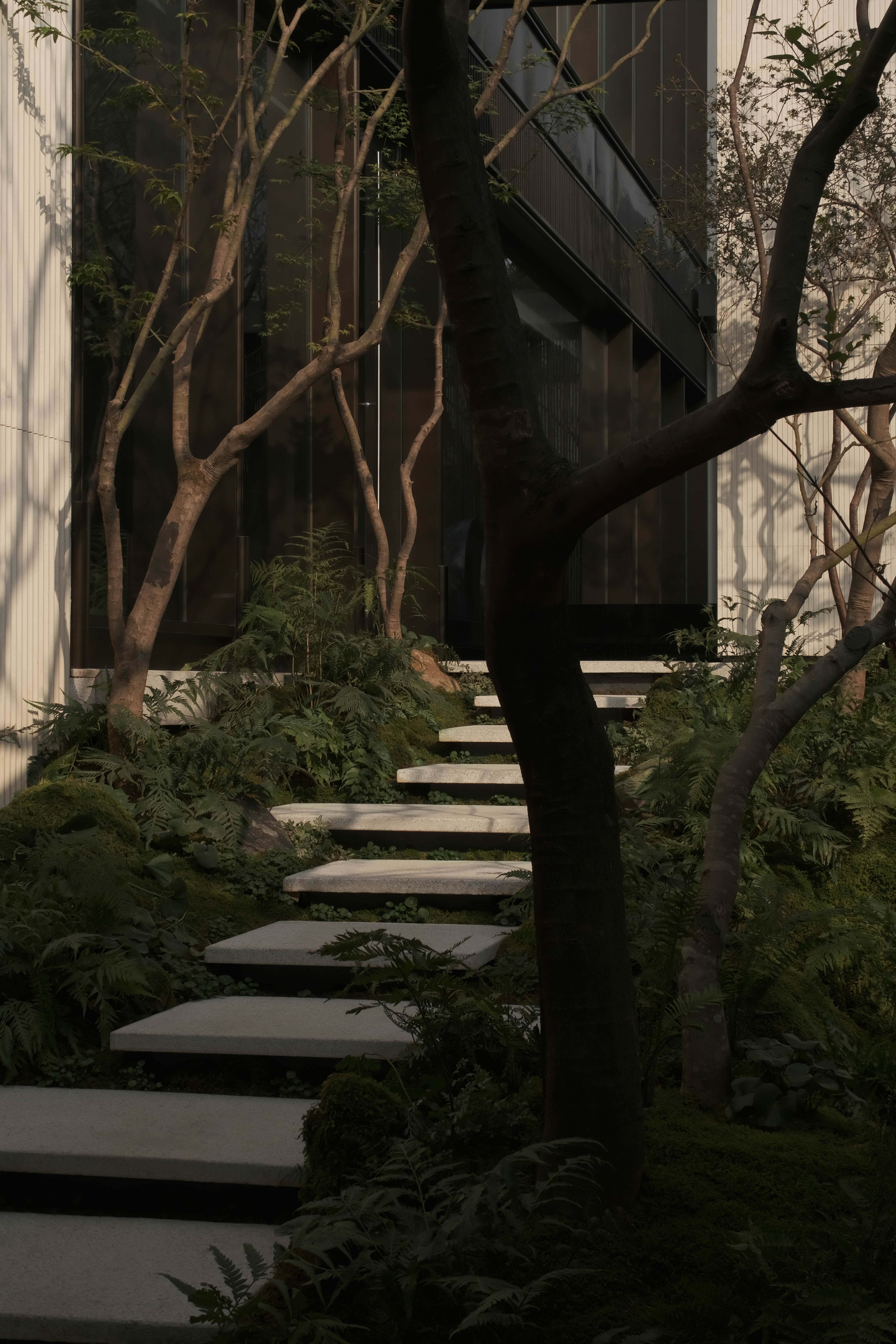 金茂西安璞逸曲江示范区丨中国西安丨MIND 迈德景观-66