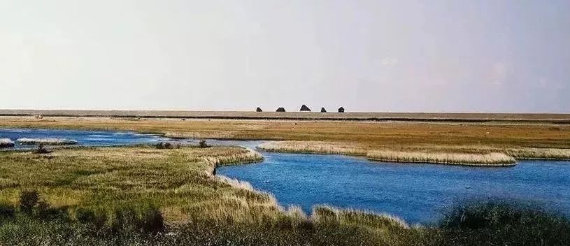 香奈儿“老佛爷”卡尔·拉格斐的室内设计魅力-74