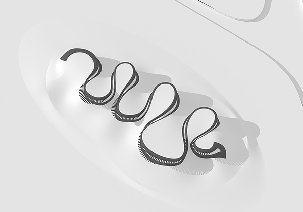 带摄影工作室和画廊的家庭住宅项目-1