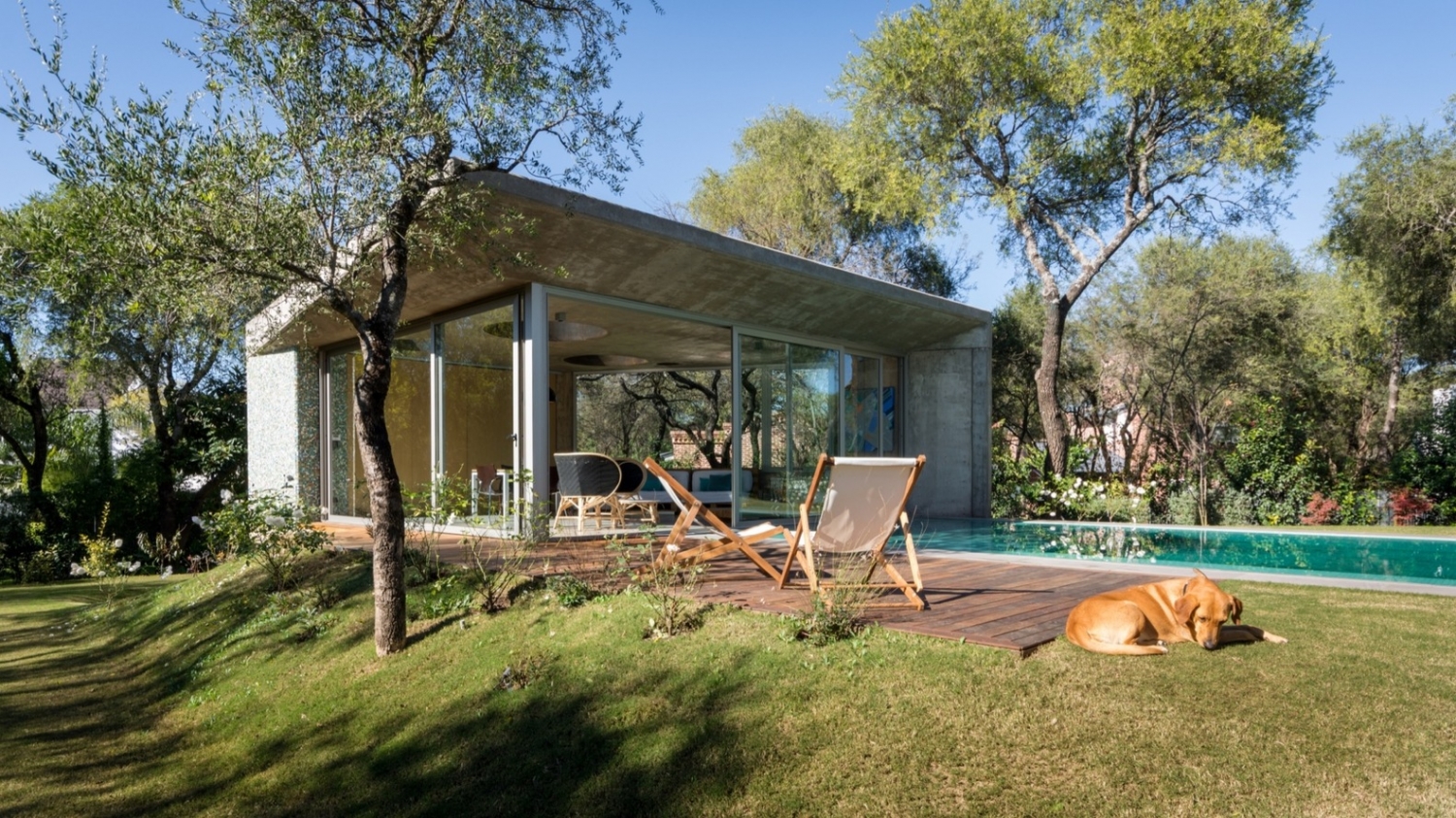 阿根廷森林住宅丨GRUPOURBAN Arq.-21