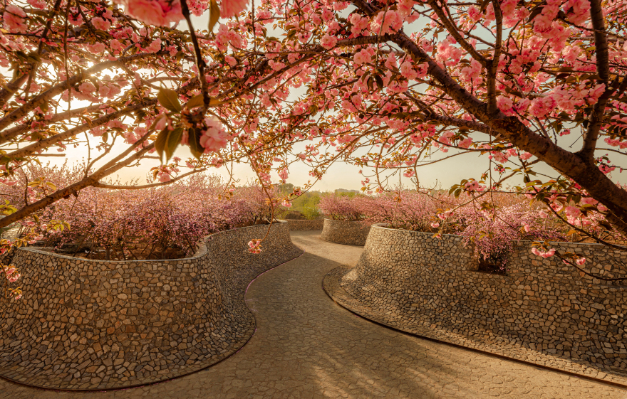 广州樱花小镇的空中纯美果园丨中国广州丨广州 S.P.I 设计有限公司-19