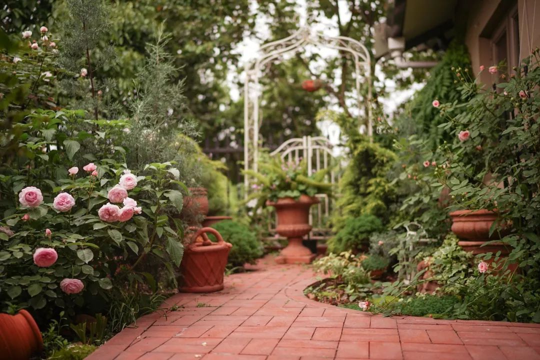 成都夫妻40万改破旧老房，吃火锅、带娃，日子又慢又美-155