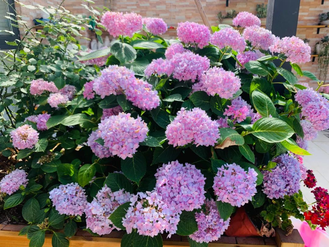 多一点浪漫 | 80、90 后的理想家居设计-64