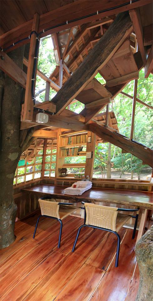 两层树屋（Treehouse）-10