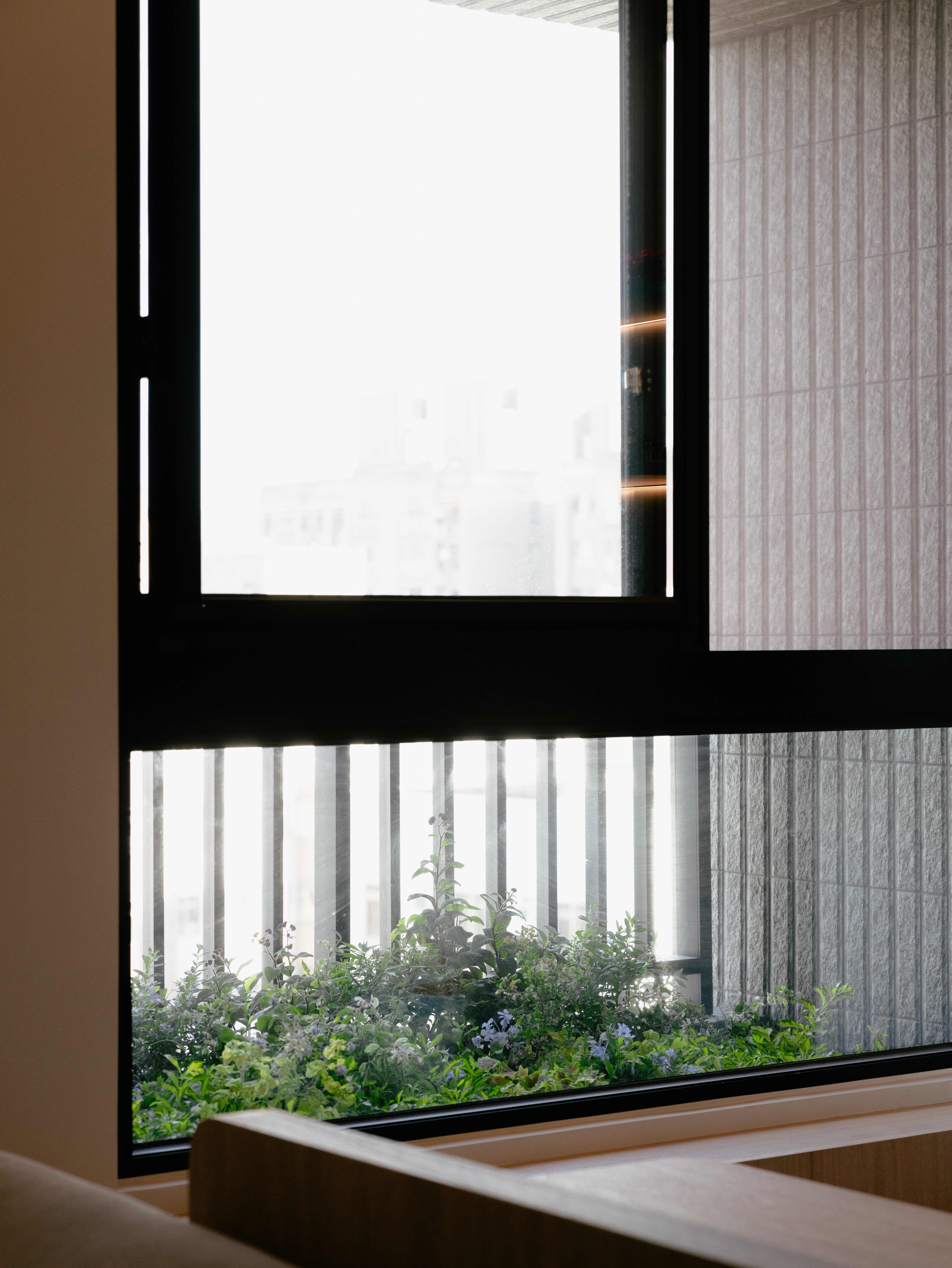 2025 台中／住宅花槽／自然原野-3