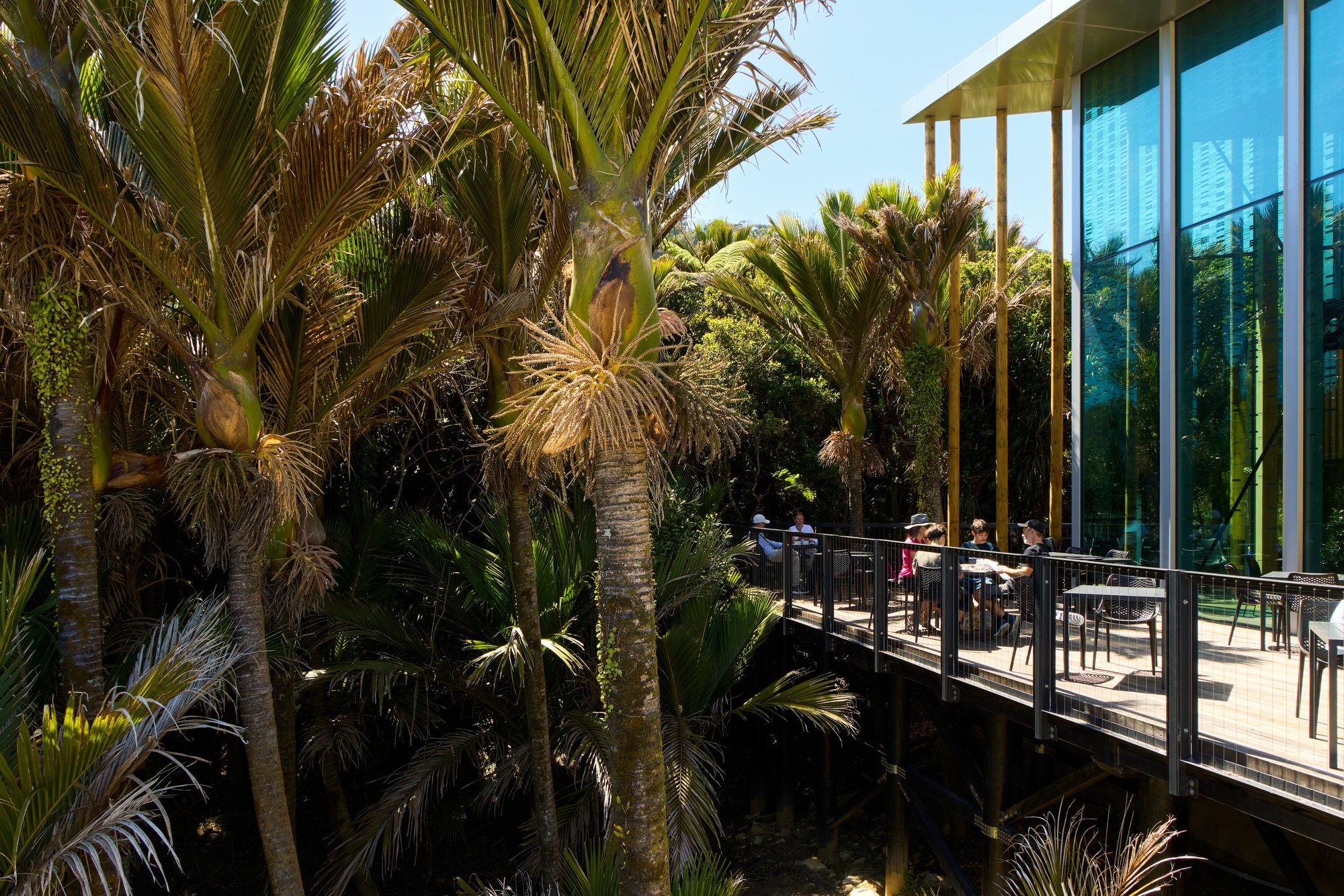 大学丨New Zealand丨Sheppard & Rout Architects-23