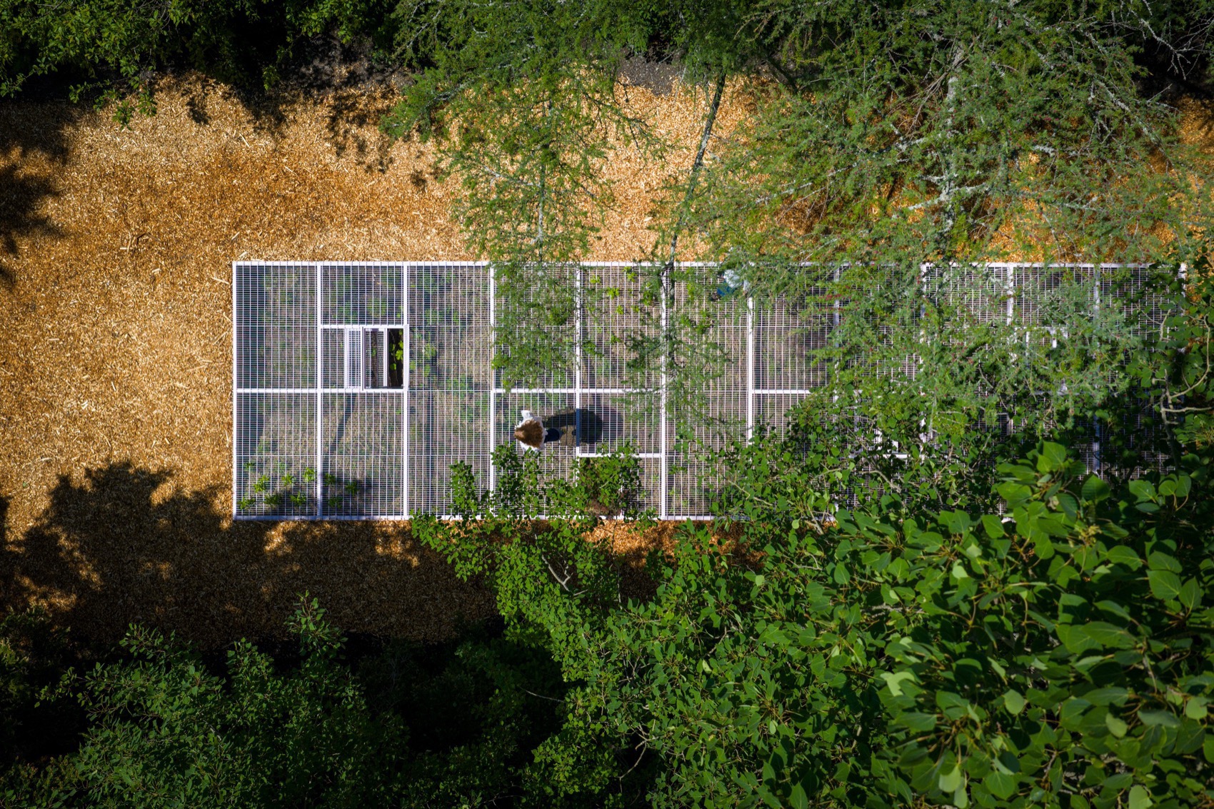 2025国际花园节:边界丨bureau60a（视觉识别设计）-19