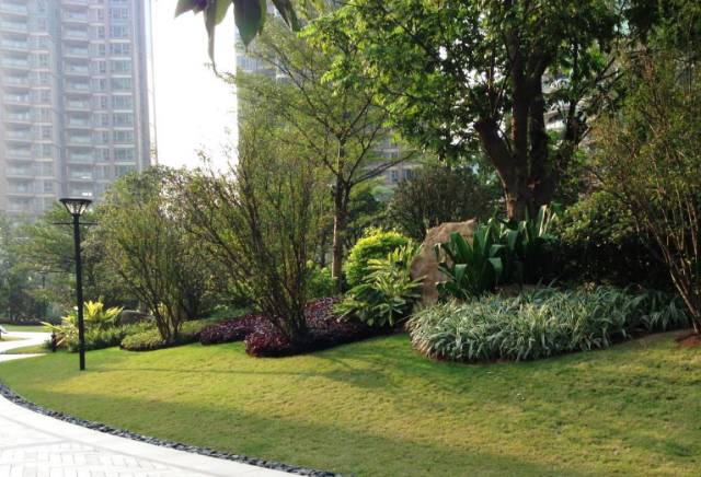 绿化设计中的地被放线手法与植物配置-85