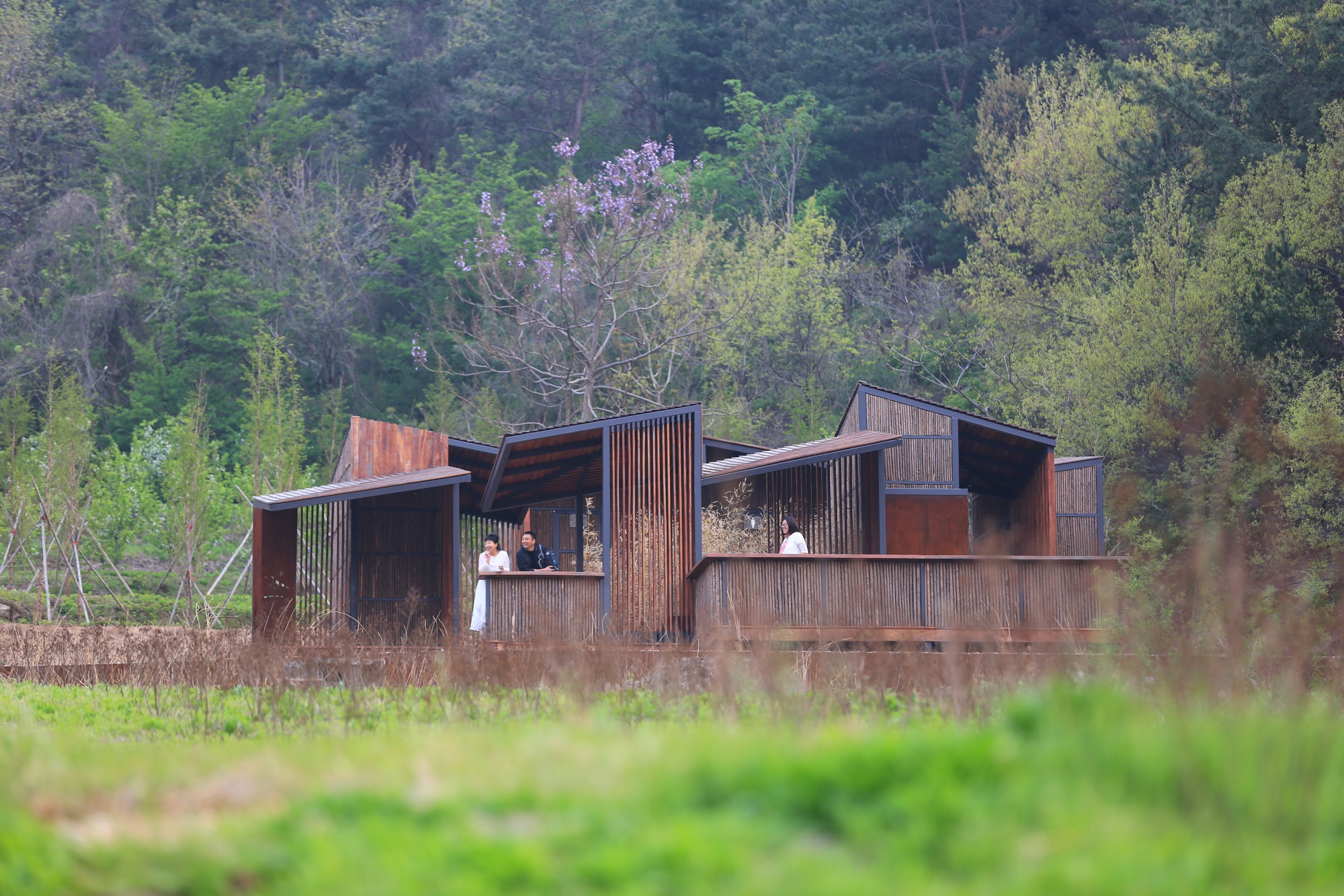 昆嵛山国家级自然保护区基础设施设计项目丨大小景观团队（Atelier Scale）-75