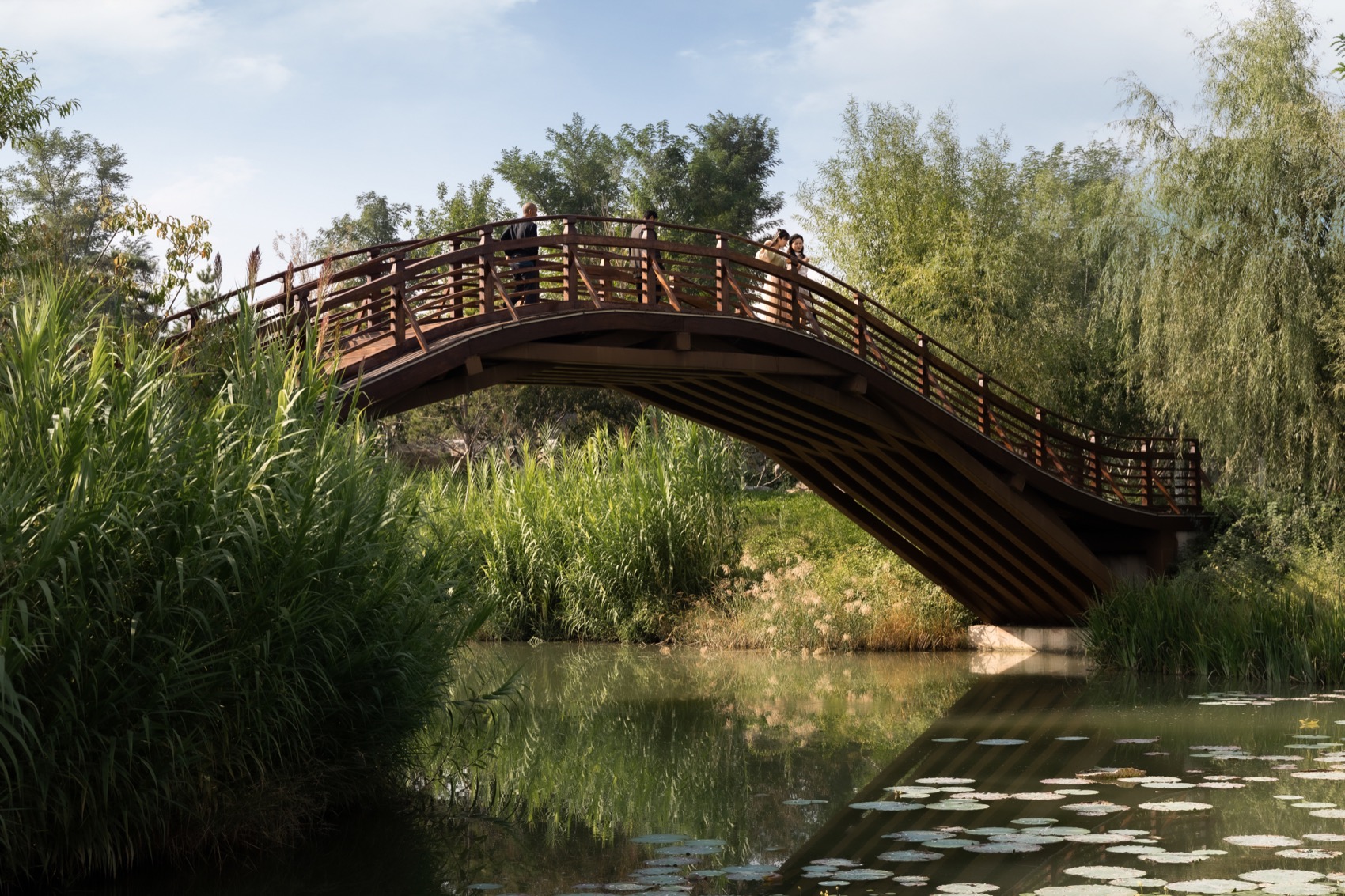 雄安新区悦容公园桃花园丨北京林业大学园林学院,北京多义景观规划设计事务所-37