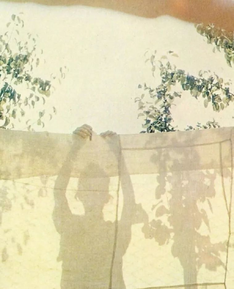 闲暇时光,品读八月的诗与远方-28