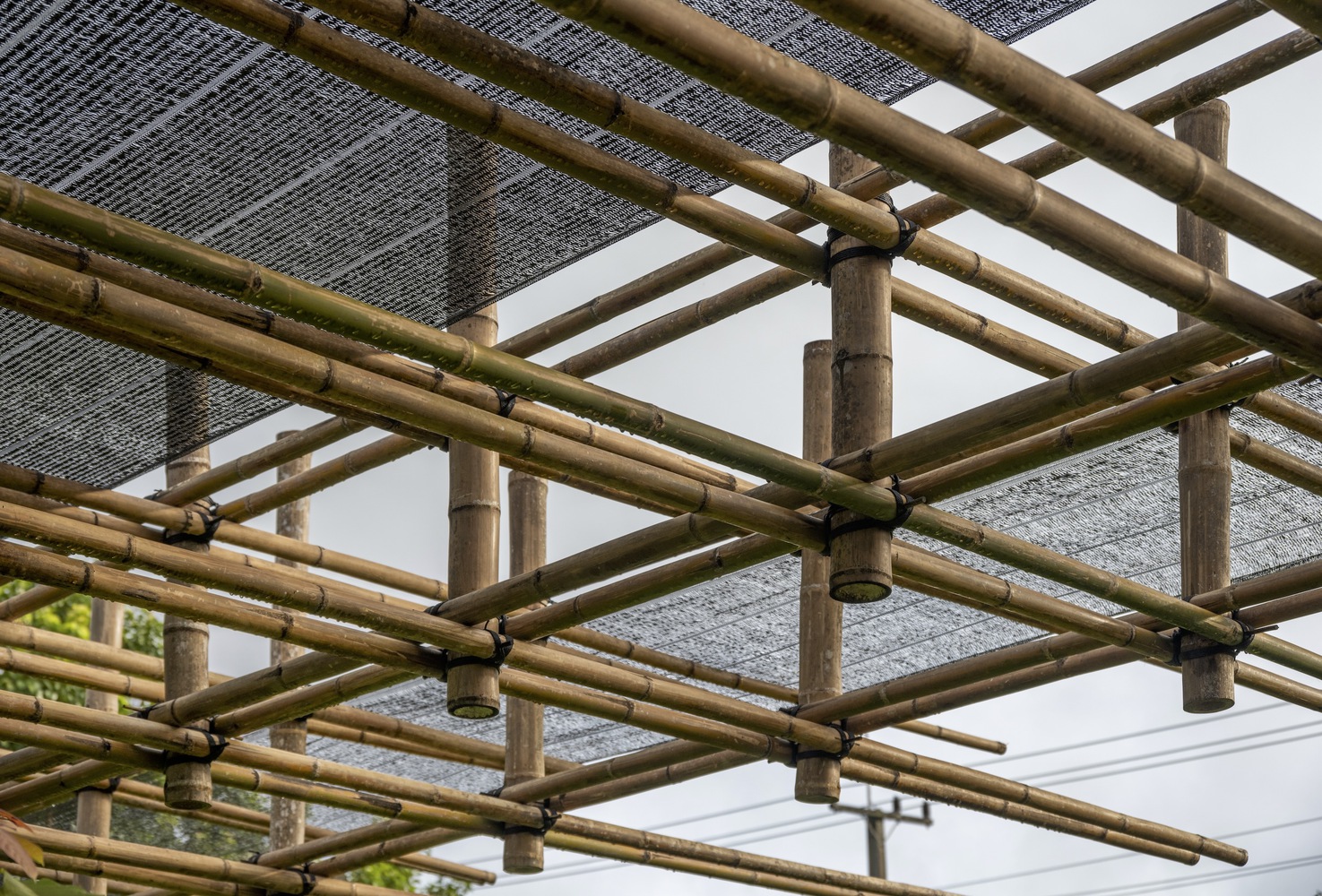 Thingamajiggy 咖啡烘培室丨泰国清迈-25