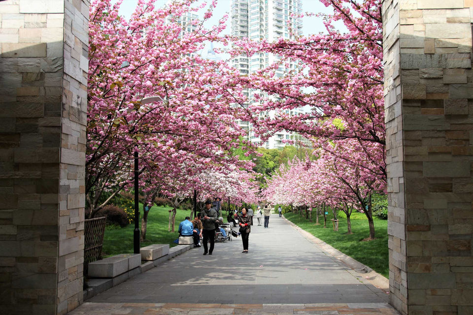 延安中路公园 · WAA+丨中国上海丨WAA+,上海园林设计院-23