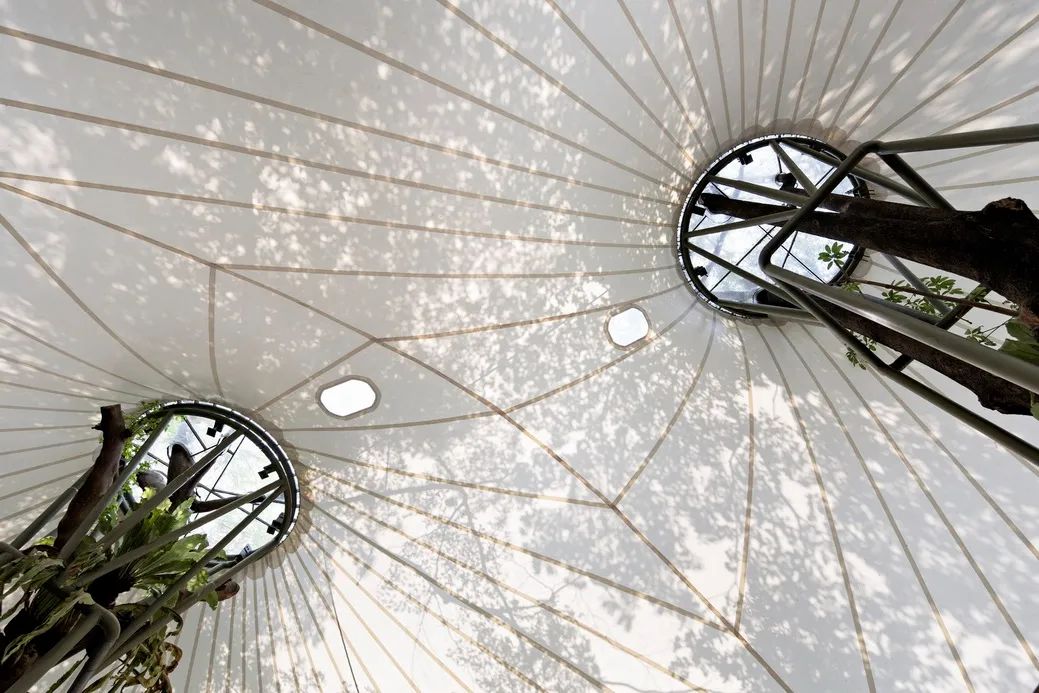 将自然引入空间 | 生态建筑 · 8款-128