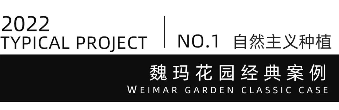 西安融创曲江印二楼屋顶花园丨中国西安丨魏玛设计集团-0