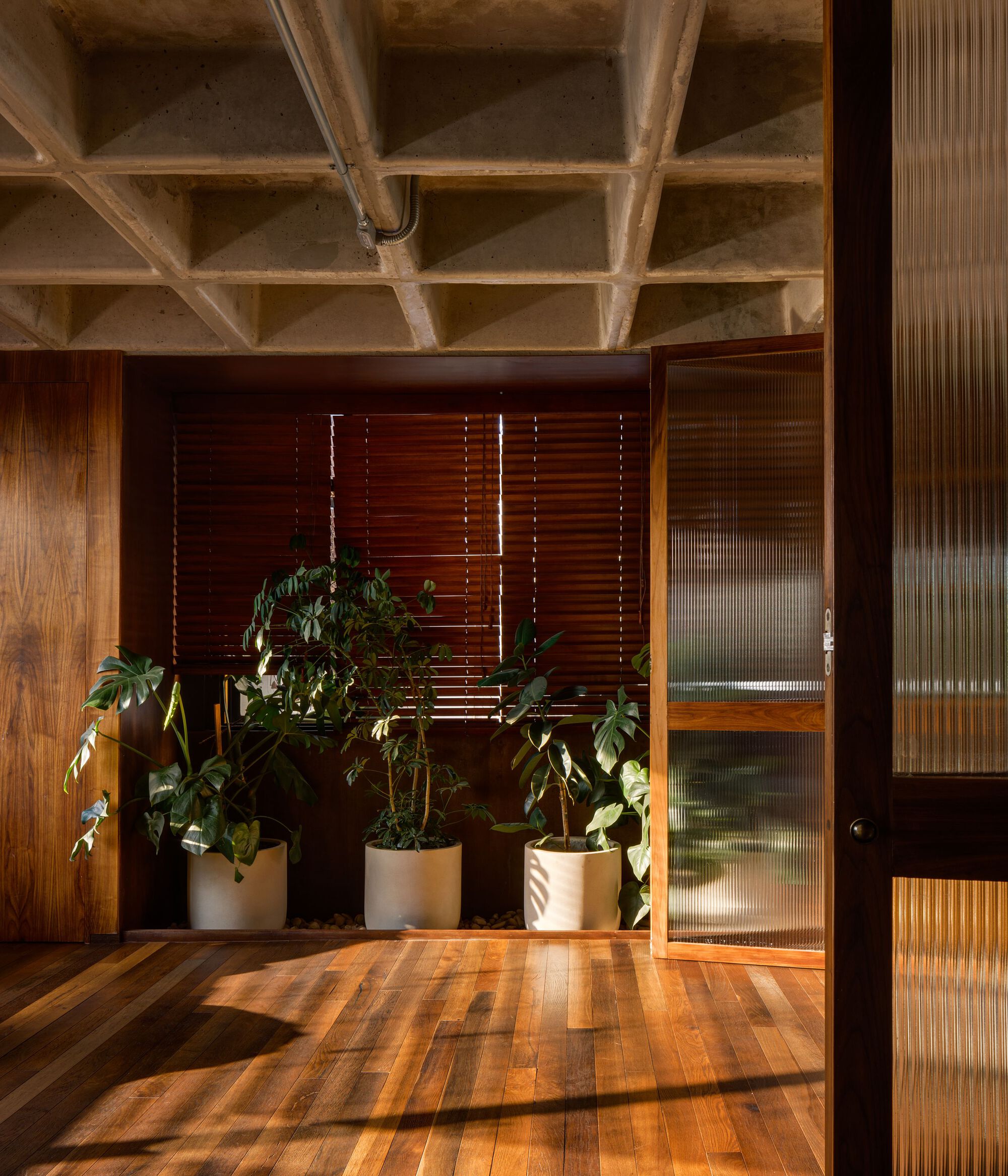 AT83 公寓改造丨墨西哥墨西哥城丨Eterea Studio-12