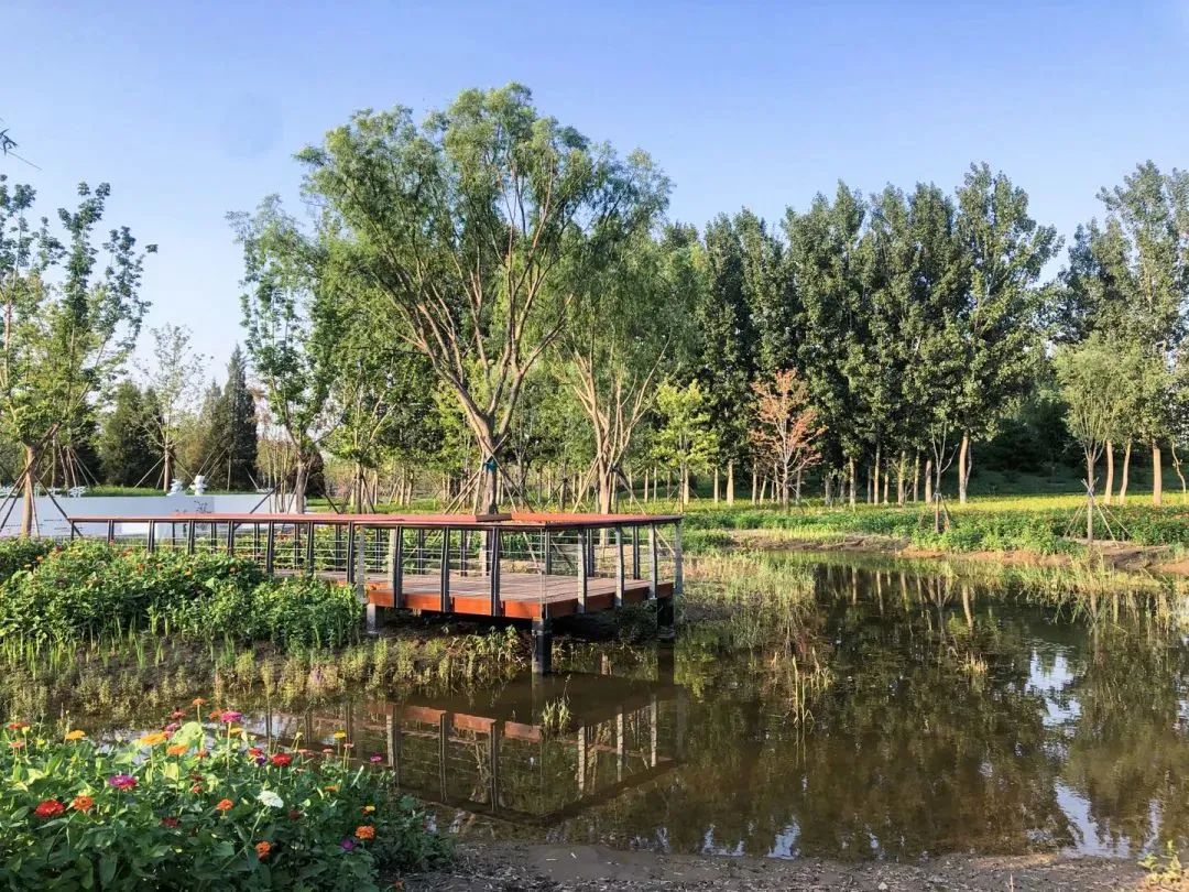 【匠心设计】“绿心”跃动，绘就北京城市副中心生态和谐画卷-22