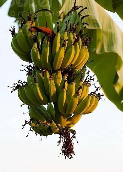 海口华润时光里样板房丨中国海口丨π SQUARED²派平方设计-27