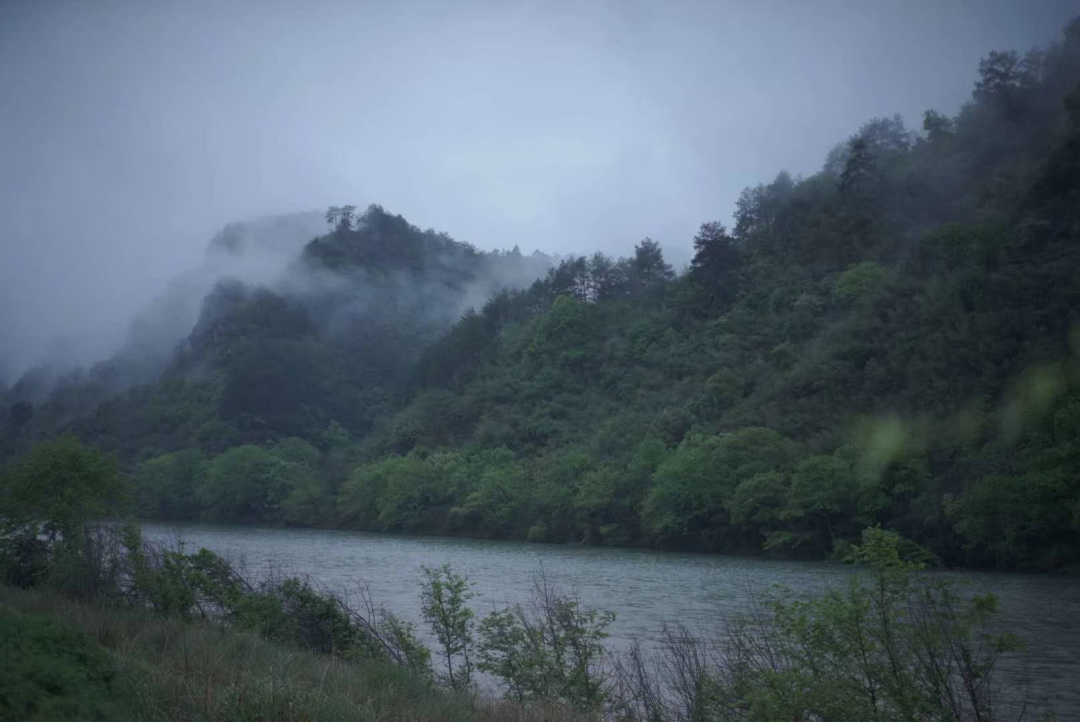 雨中探秘九龙湾山庄 | 茶空间与自然共生的宁静之美-12