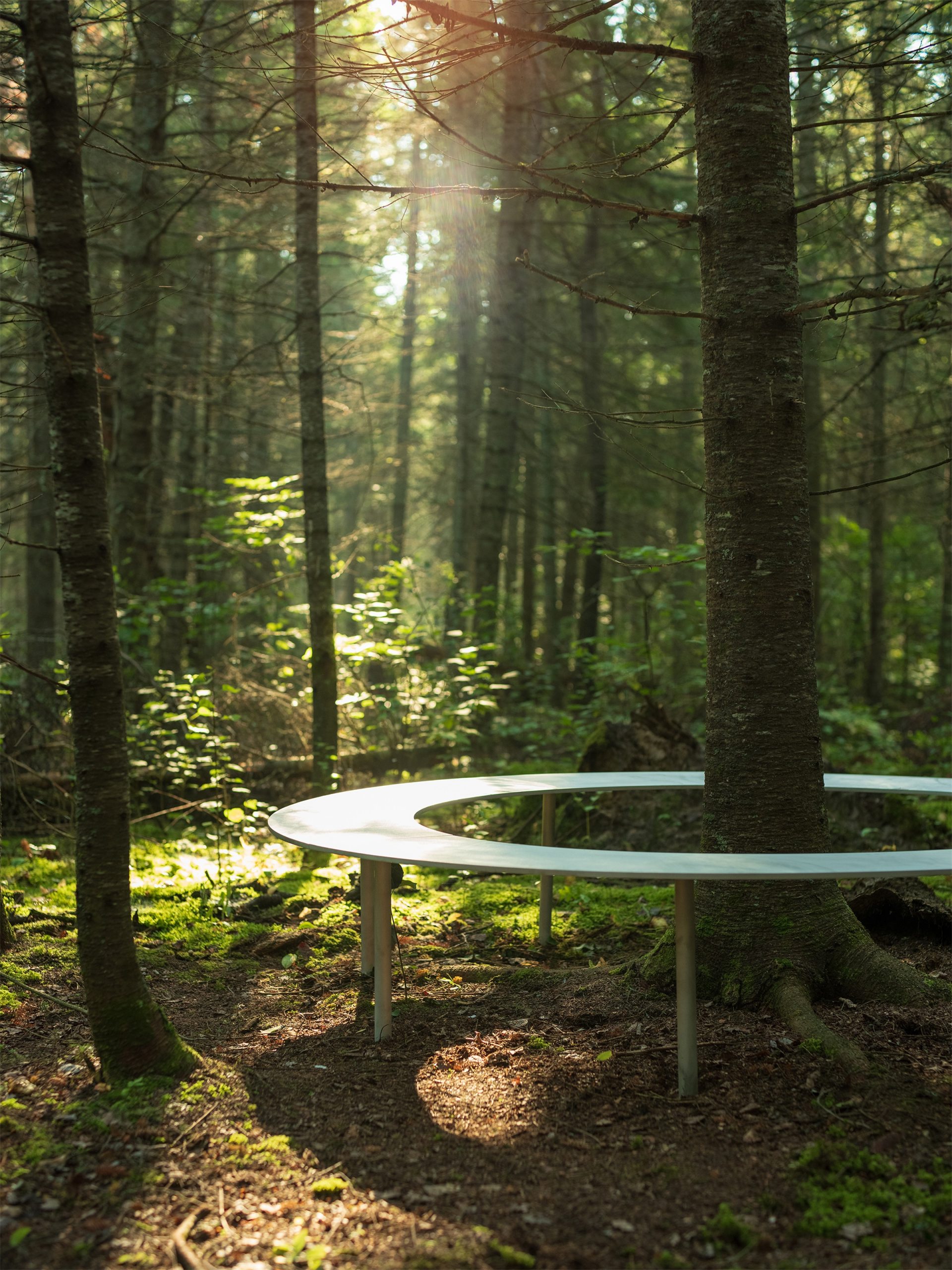 嵌套循环丨加拿大维多利亚丨Thom Fougere-18