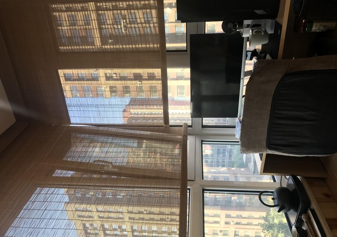 
三只猫的故事 -10