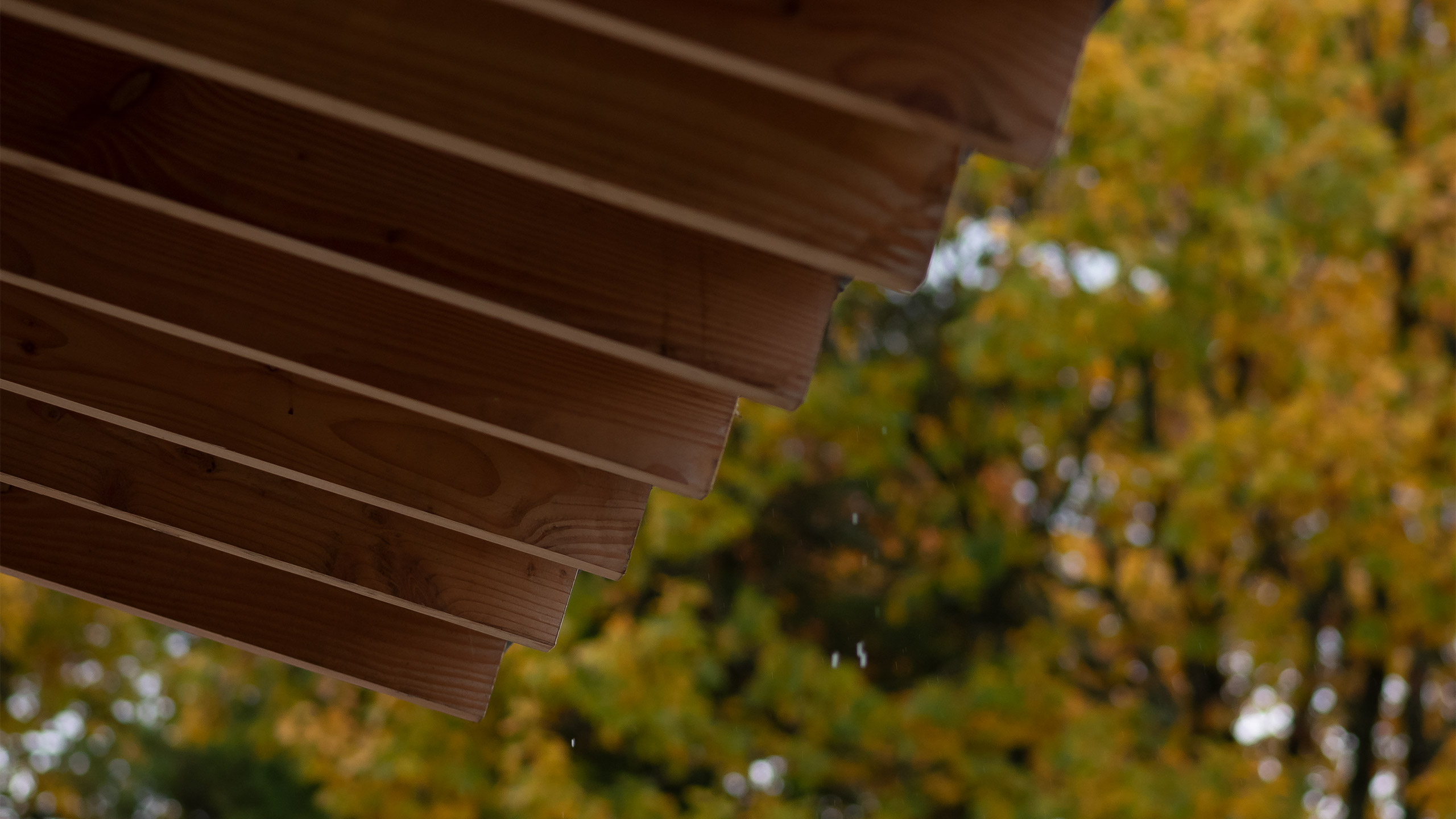 Kent Downs House | McLEAN QUINLAN-12