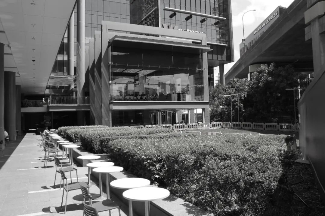 悉尼 Westpac Place 更新丨澳大利亚悉尼丨ASPECT Studios-3