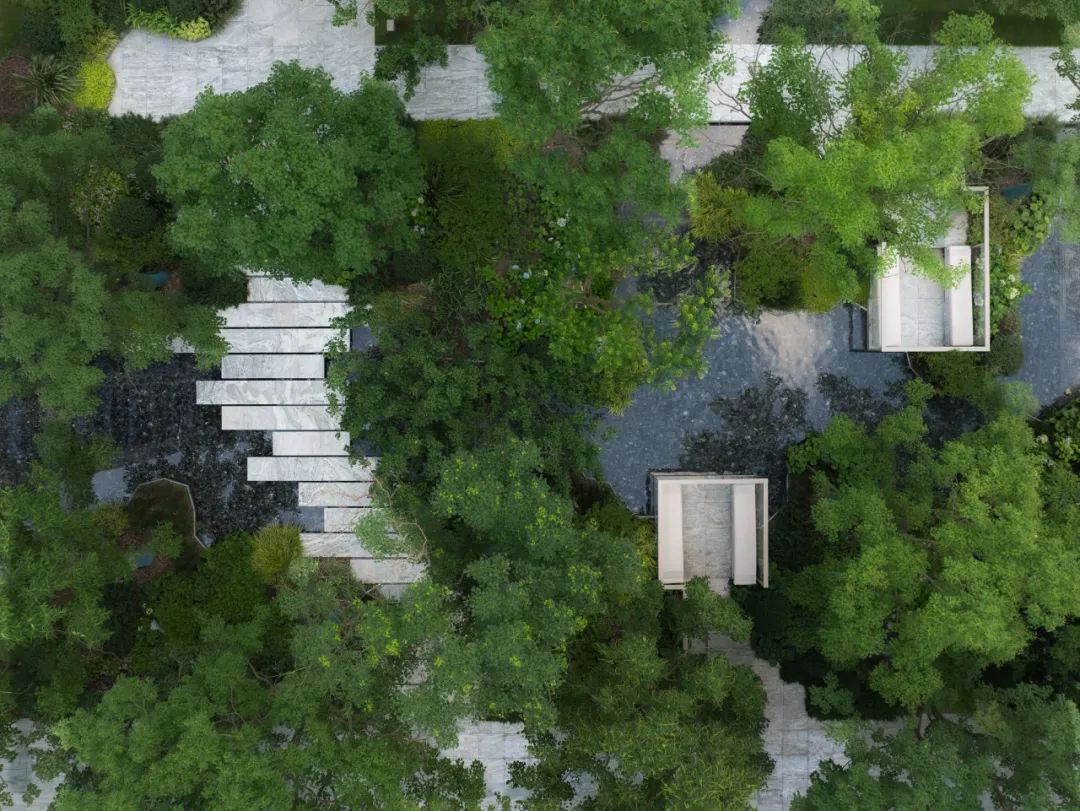 TROP|仁恒海上源大区--纵横光影海上森林-80