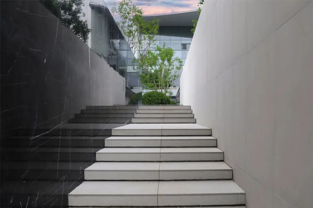 金沙操盘 | 成功经验：从河南火到全国各地（实地考察+主题演讲）-111