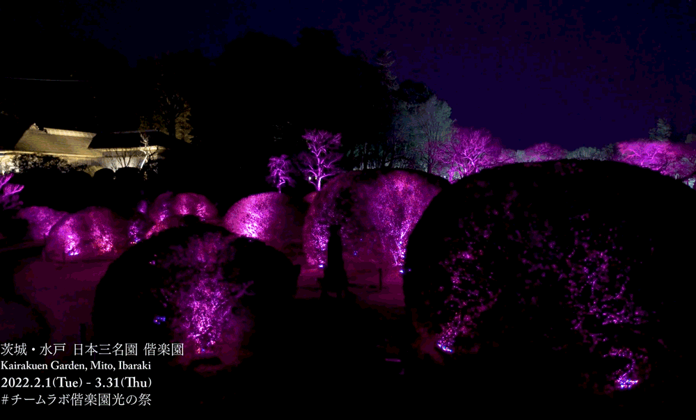 teamLab偕乐园光之祭丨日本-59