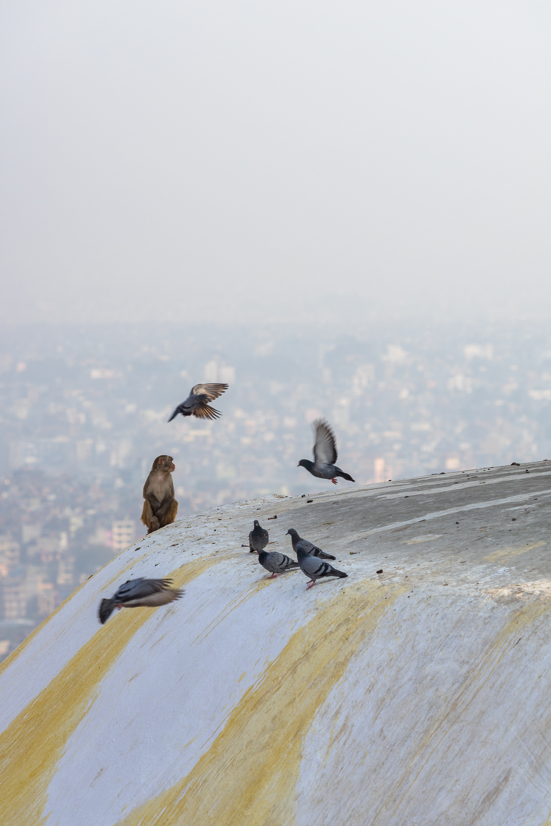 加德满都及周边地区丨尼泊尔丨KIRILL TSYBENKO-24