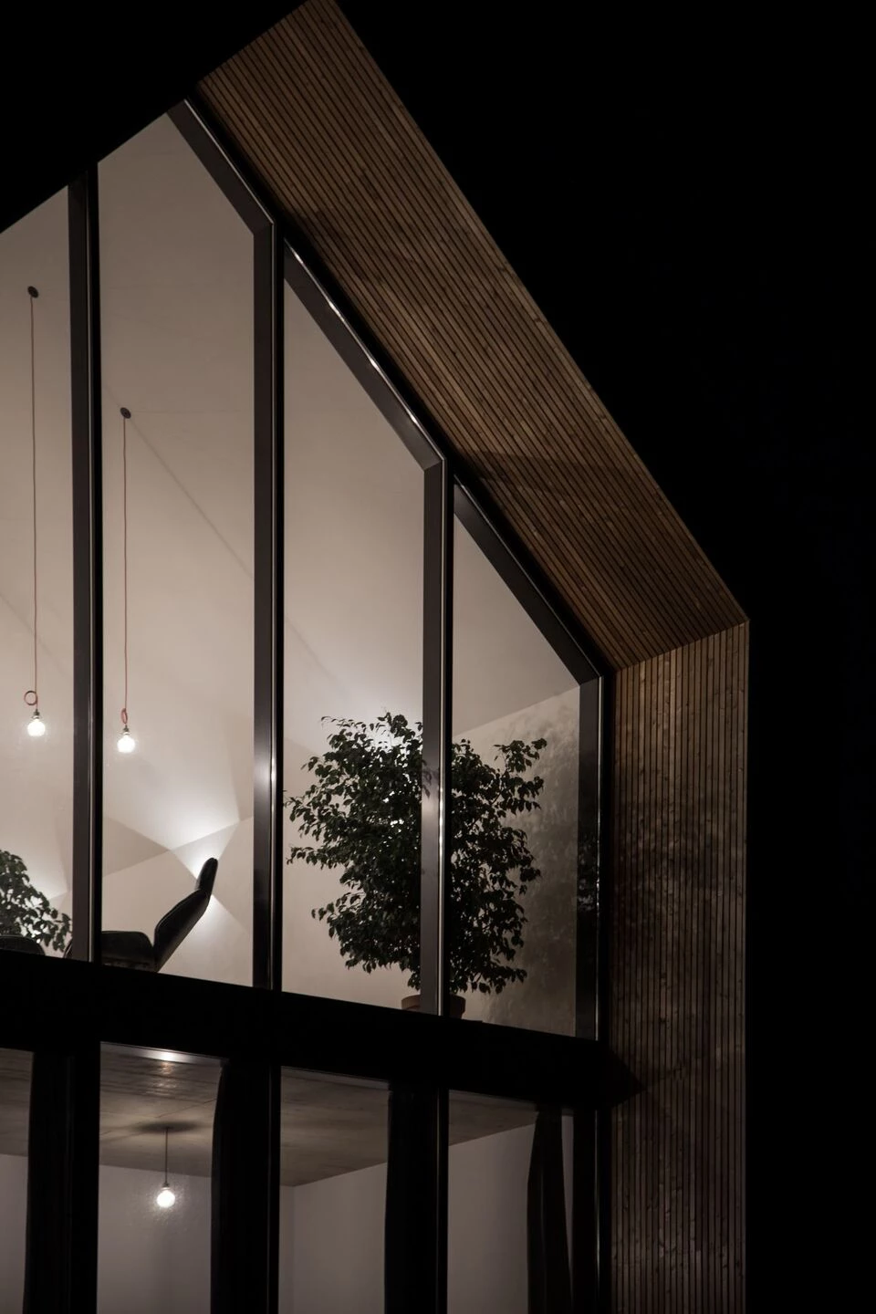 LIA – 在黑色墙壁后面丨Austria丨STEINBAUER architektur+design-21