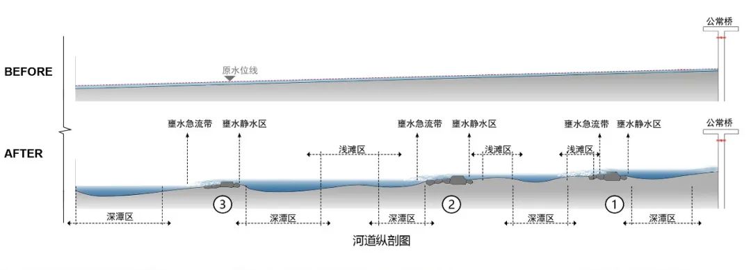 茅洲河碧道·光明段生态修复试点-54