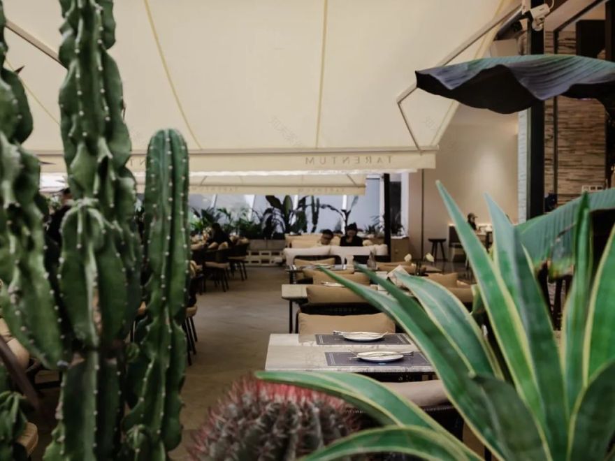 TARENTUM 萄木丨中国深圳丨RBD DESIGN BOX 瑞本设计-25