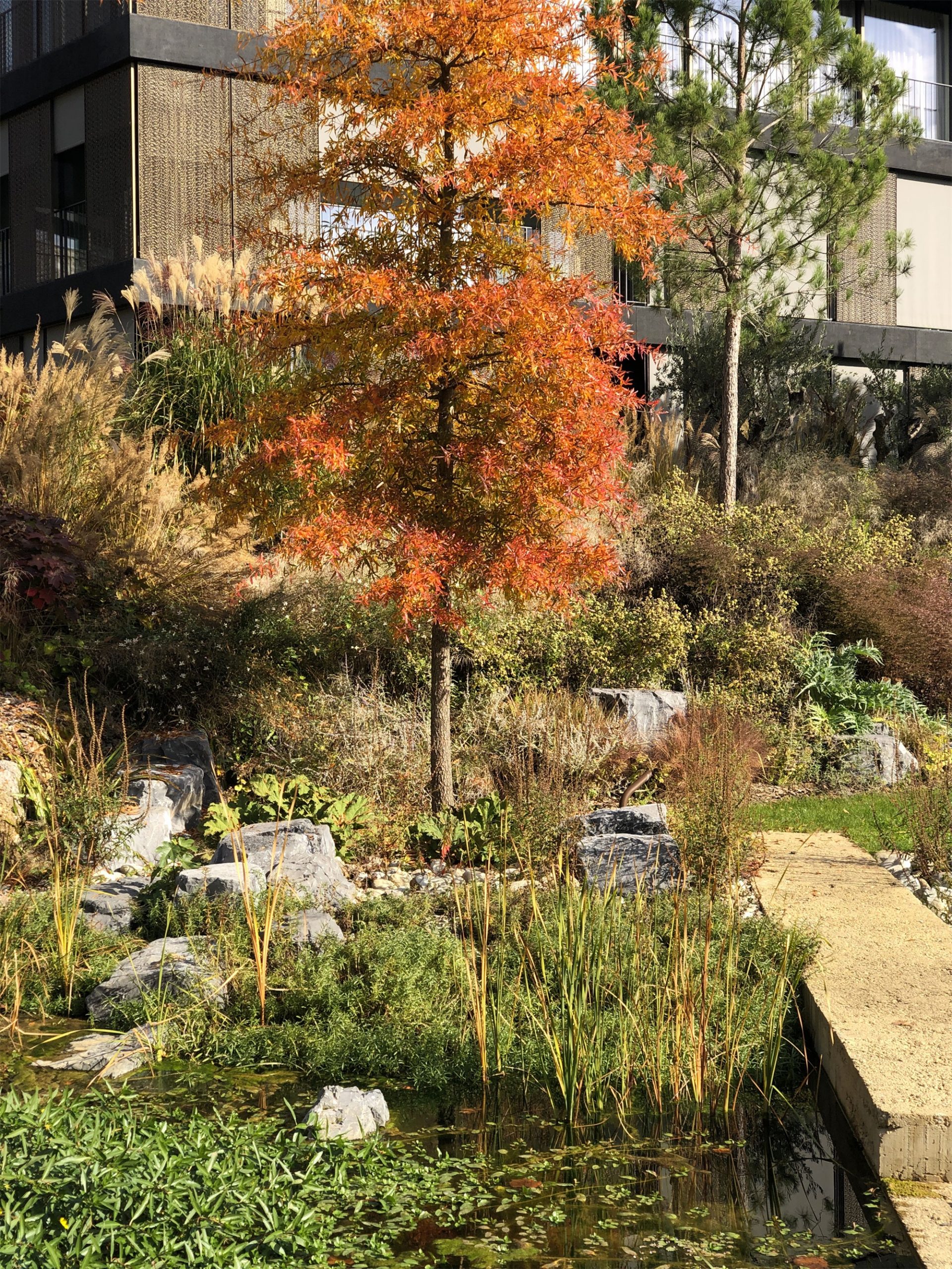 卡萨里科社区公园丨瑞士-28