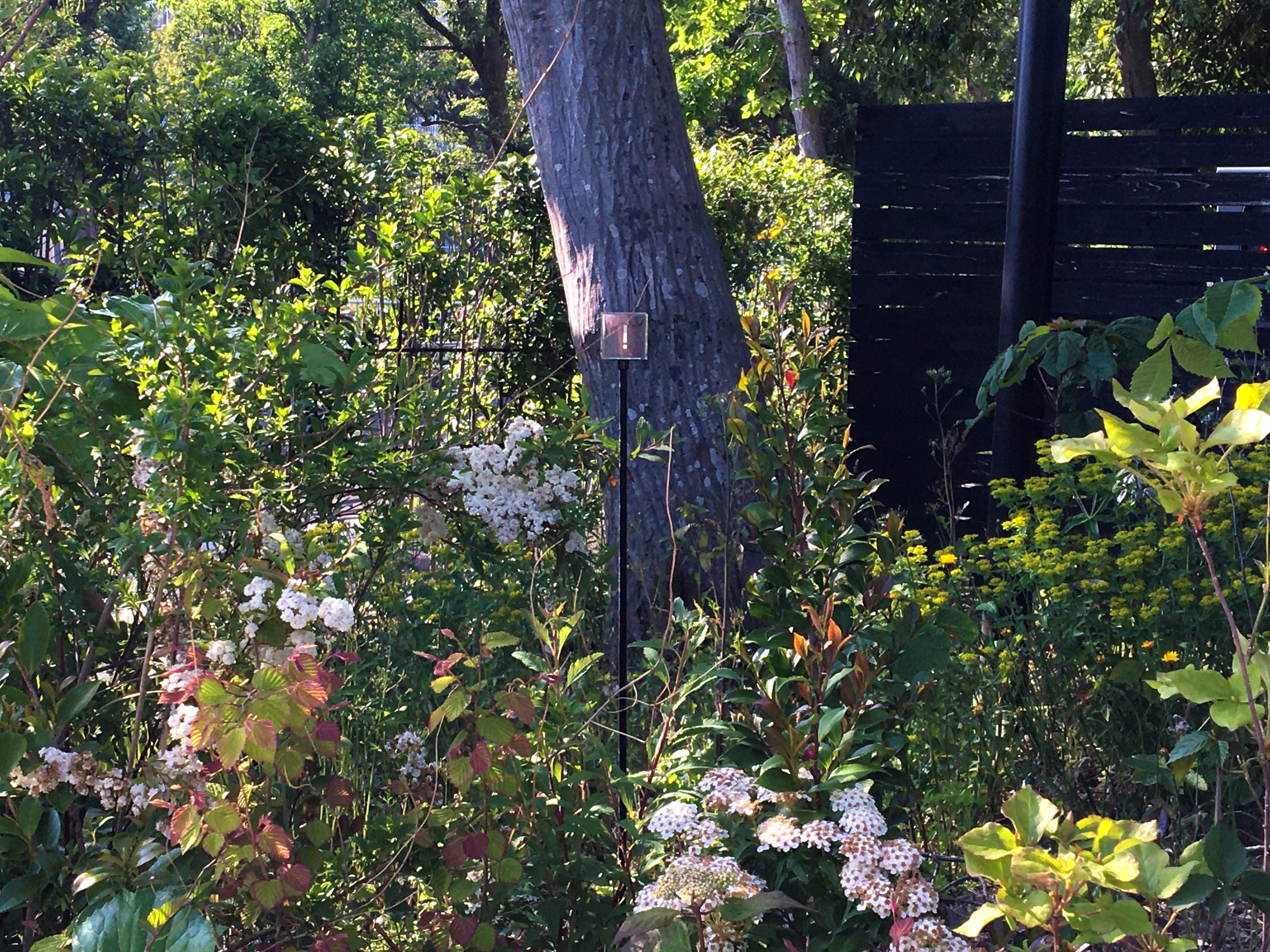 绽放的风 (Bloom no kaze)-8