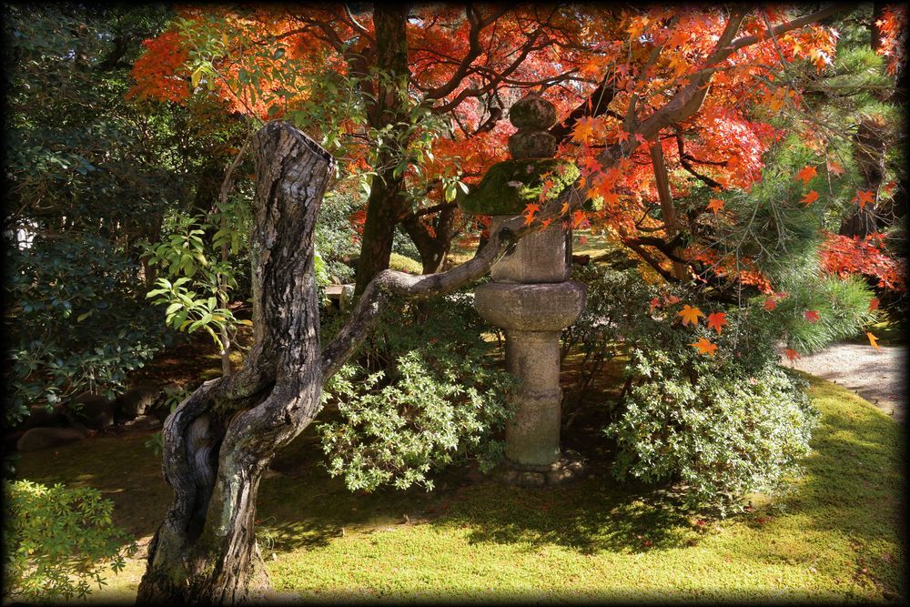京都御所（京都皇宫）丨日本京都-37
