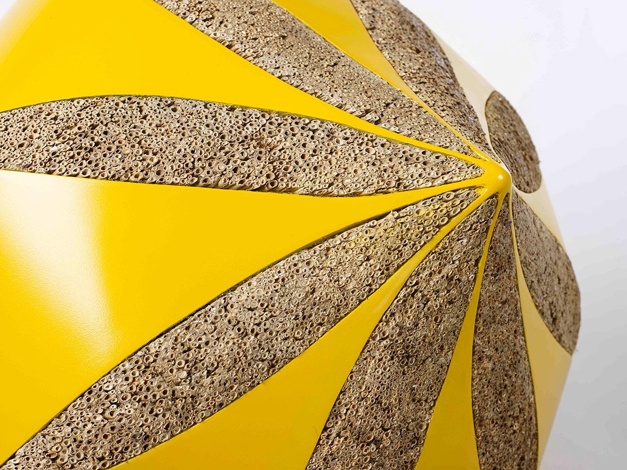 平衡世界中的生命奥秘·卡利奥皮·莱莫斯个展-15