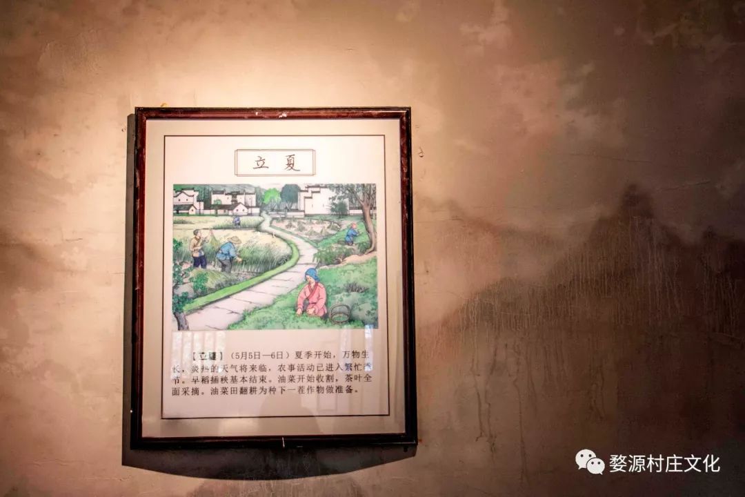 婺源碧山村亲子游新去处,原生态乡村乐园的完美逆袭-78