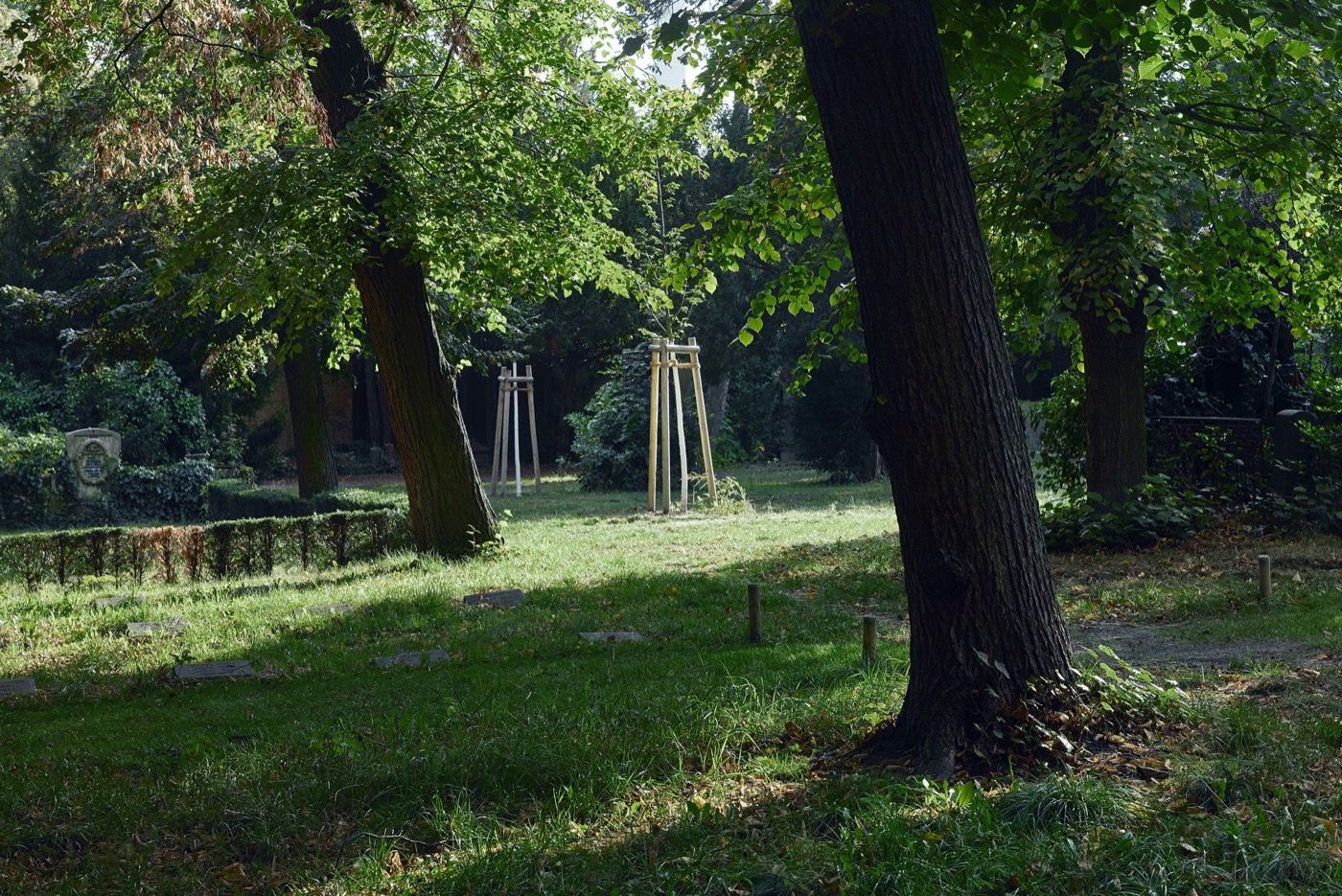 Luisenstädtischer 公墓变身文化生态社交空间-5