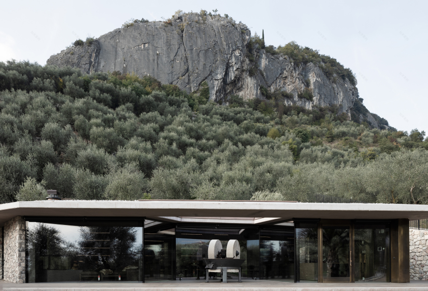 意大利橄榄园中的"Il Frantoio"-16