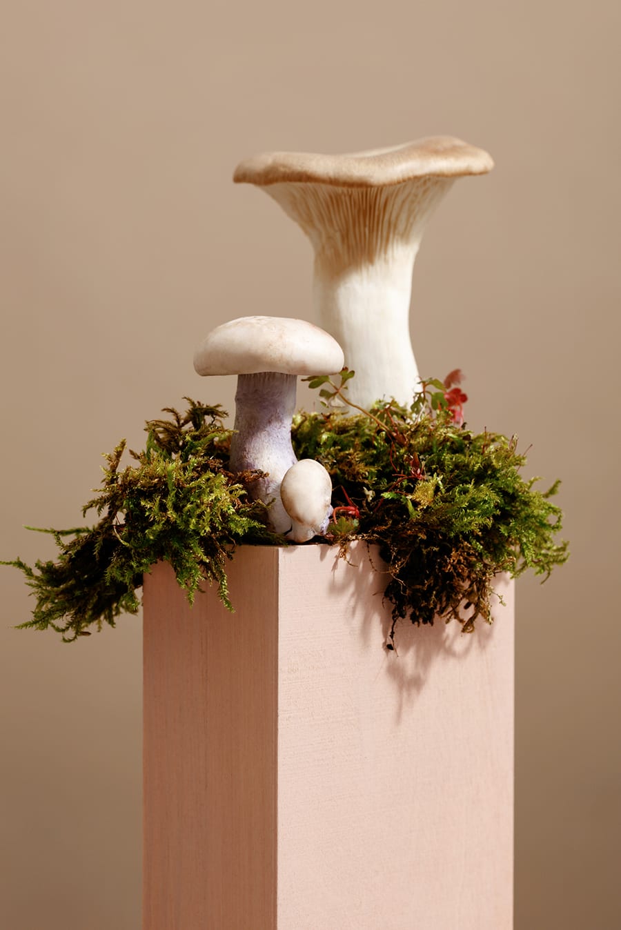 丨加拿大温哥华丨温哥华Ste. Marie-43