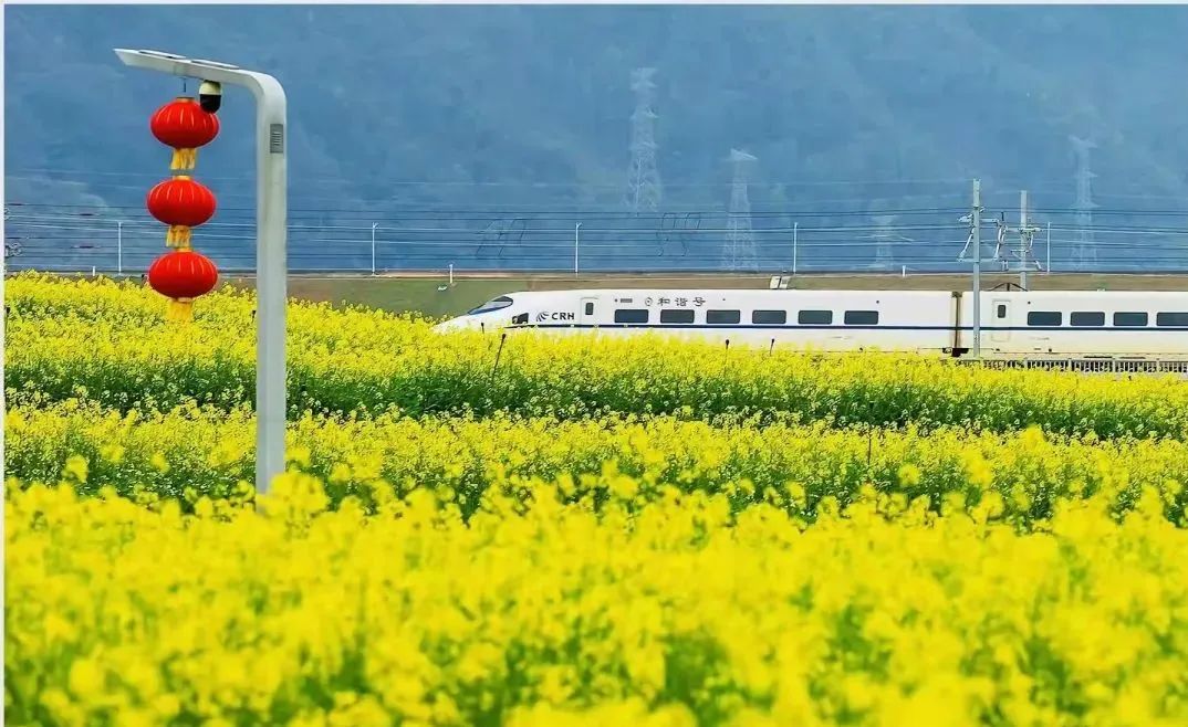 坚持蓝绿本底 光明集团与生态共生的“绿水青山”之旅-7