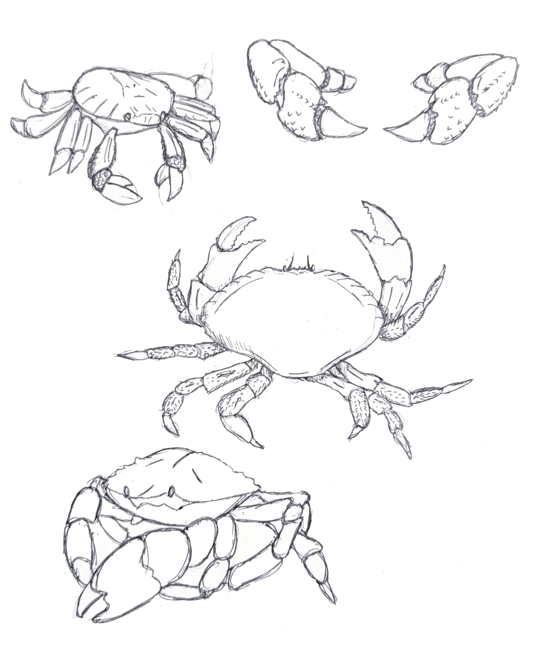 丨墨西哥瓦哈卡丨Espacio 18 Arquitectura-33