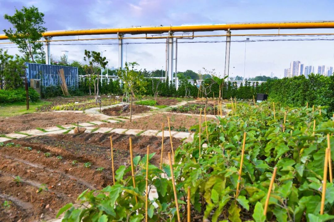 广汽丰田生态园·工业绿色风景线丨普邦设计-40