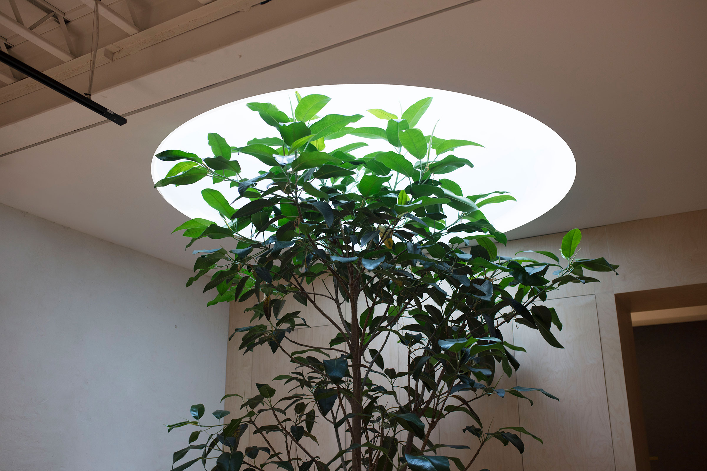 A Warehouse Conversion with an Edge — Design Anthology-4