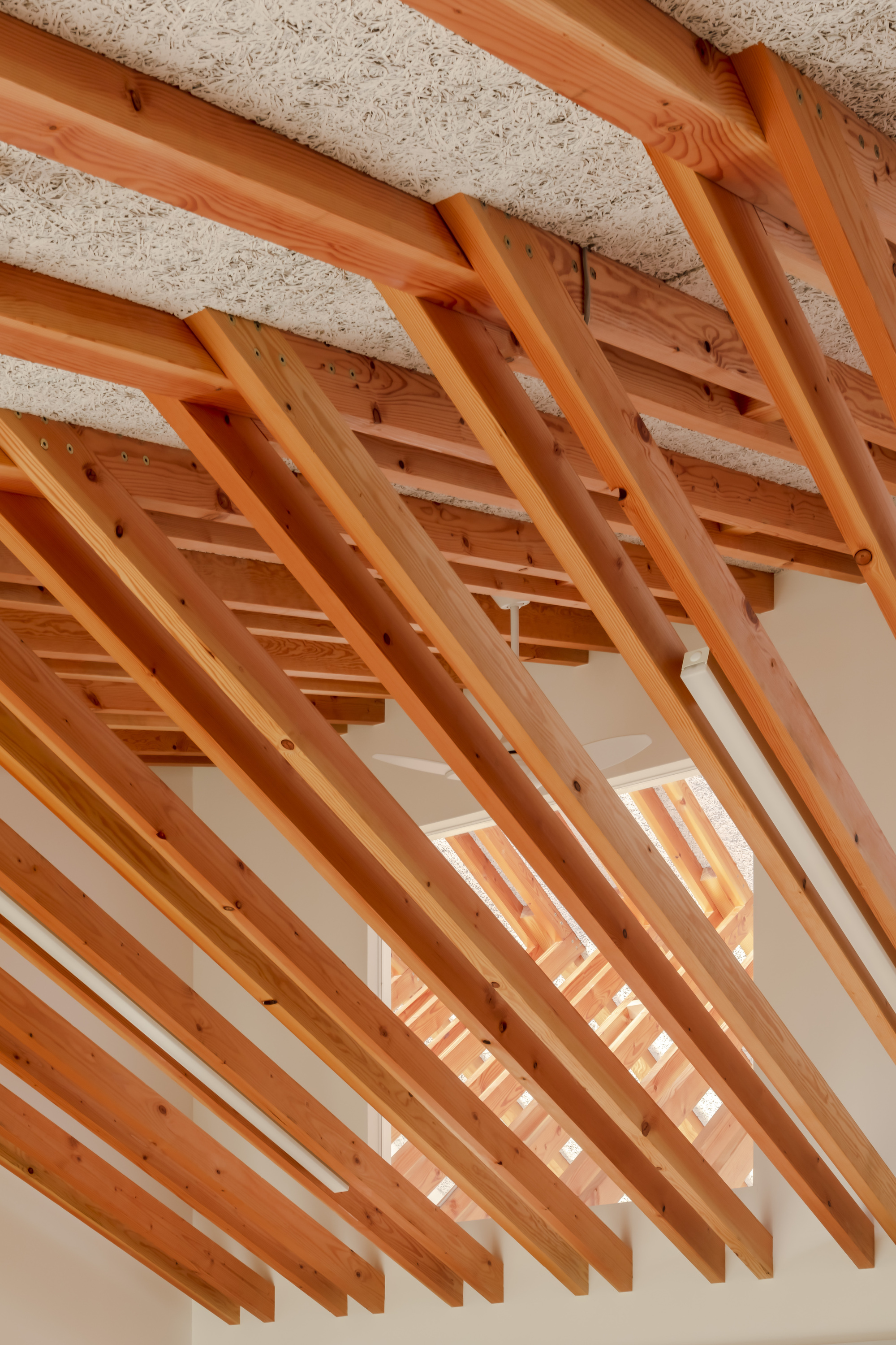 丨日本爱媛丨Ogawa Nishikori Architects-26