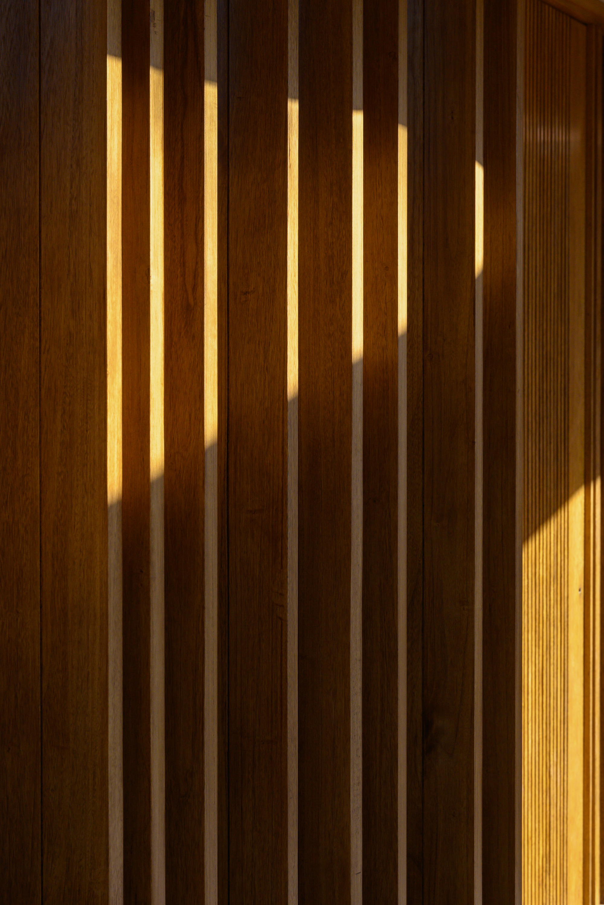 拉斯玛丽娅斯之家丨阿根廷科尔多瓦丨Daniella Beviglia,Santiago Viale-39