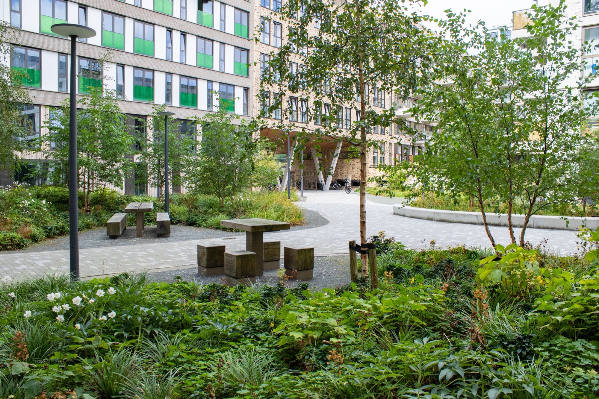 绿意盎然的城市校园 · 阿姆斯特丹 Lieven 公寓丨荷兰阿姆斯特丹丨Bureau B+B-13