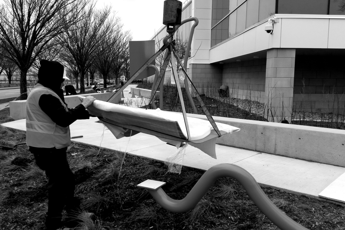 Raptors Hoops | Eventscape-9